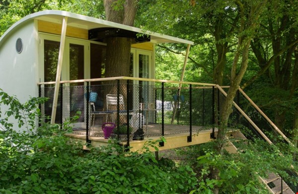 Boomhut Buytenplaets Suydersee Boomhut Buytenplaets Suydersee